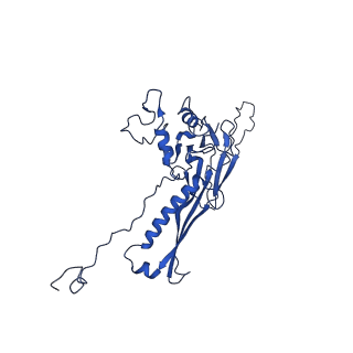 10443_6tba_CA_v1-2
Virion of native gene transfer agent (GTA) particle