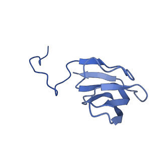 10443_6tba_CC_v1-2
Virion of native gene transfer agent (GTA) particle