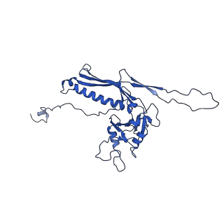 10443_6tba_CE_v1-2
Virion of native gene transfer agent (GTA) particle