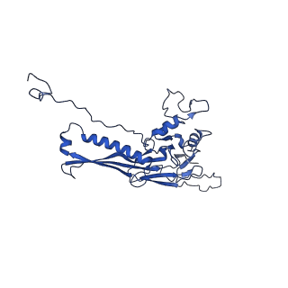 10443_6tba_CF_v1-2
Virion of native gene transfer agent (GTA) particle