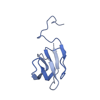 10443_6tba_CH_v1-2
Virion of native gene transfer agent (GTA) particle
