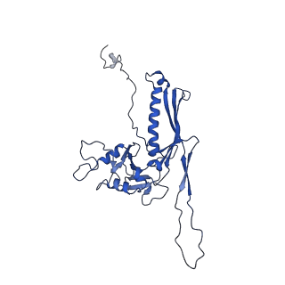 10443_6tba_CJ_v1-2
Virion of native gene transfer agent (GTA) particle