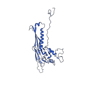 10443_6tba_CK_v1-2
Virion of native gene transfer agent (GTA) particle