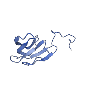 10443_6tba_CM_v1-2
Virion of native gene transfer agent (GTA) particle