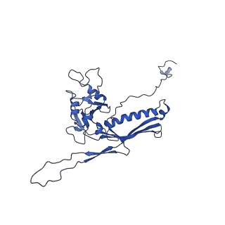 10443_6tba_CO_v1-2
Virion of native gene transfer agent (GTA) particle