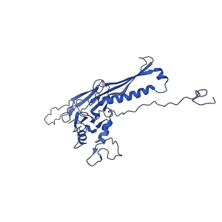 10443_6tba_CP_v1-2
Virion of native gene transfer agent (GTA) particle