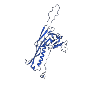 10443_6tba_D4_v1-2
Virion of native gene transfer agent (GTA) particle