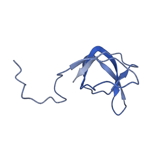 10443_6tba_D7_v1-2
Virion of native gene transfer agent (GTA) particle