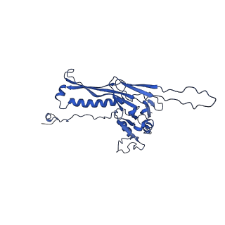10443_6tba_D9_v1-2
Virion of native gene transfer agent (GTA) particle