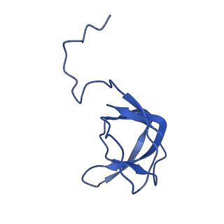 10443_6tba_DC_v1-2
Virion of native gene transfer agent (GTA) particle
