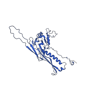 10443_6tba_DO_v1-2
Virion of native gene transfer agent (GTA) particle