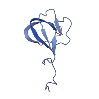 10443_6tba_E3_v1-2
Virion of native gene transfer agent (GTA) particle
