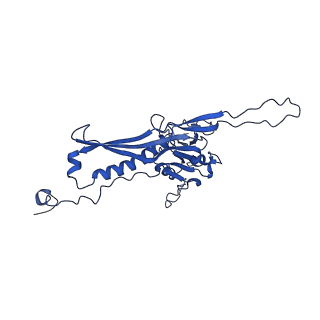 10443_6tba_E4_v1-2
Virion of native gene transfer agent (GTA) particle