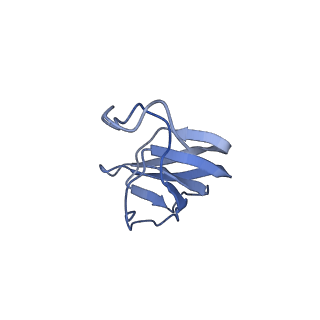 10443_6tba_EC_v1-2
Virion of native gene transfer agent (GTA) particle