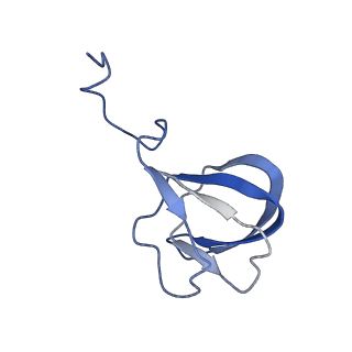 10443_6tba_ED_v1-2
Virion of native gene transfer agent (GTA) particle