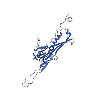10443_6tba_EE_v1-2
Virion of native gene transfer agent (GTA) particle