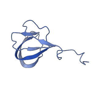 10443_6tba_EN_v1-2
Virion of native gene transfer agent (GTA) particle