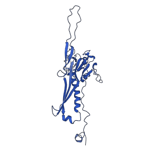 10443_6tba_EO_v1-2
Virion of native gene transfer agent (GTA) particle