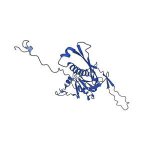 10443_6tba_F4_v1-2
Virion of native gene transfer agent (GTA) particle