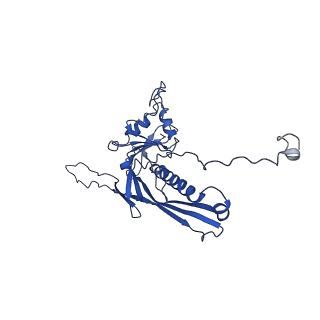 10443_6tba_G9_v1-2
Virion of native gene transfer agent (GTA) particle