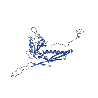 10443_6tba_H4_v1-2
Virion of native gene transfer agent (GTA) particle