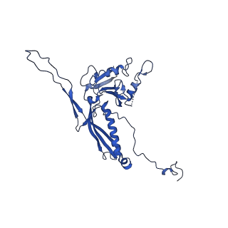 10443_6tba_H9_v1-2
Virion of native gene transfer agent (GTA) particle