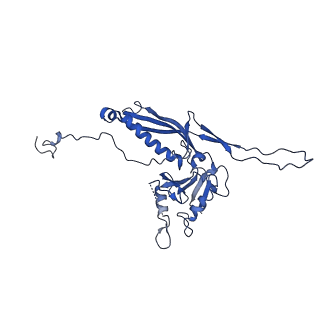 10443_6tba_HJ_v1-2
Virion of native gene transfer agent (GTA) particle