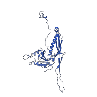 10443_6tba_HO_v1-2
Virion of native gene transfer agent (GTA) particle