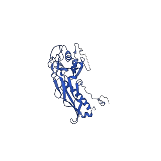 10443_6tba_I4_v1-2
Virion of native gene transfer agent (GTA) particle