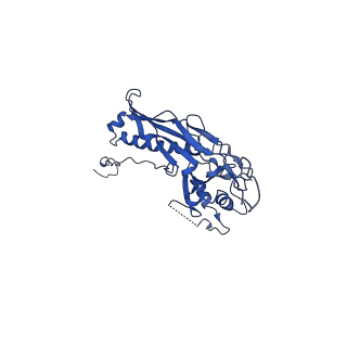 10443_6tba_IE_v1-2
Virion of native gene transfer agent (GTA) particle