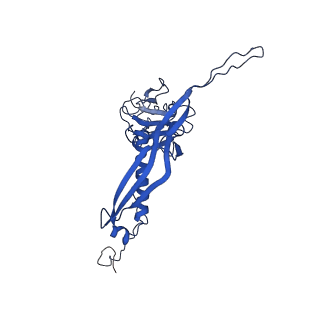 10443_6tba_J4_v1-2
Virion of native gene transfer agent (GTA) particle