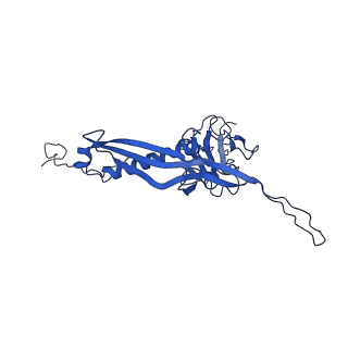 10443_6tba_J9_v1-2
Virion of native gene transfer agent (GTA) particle