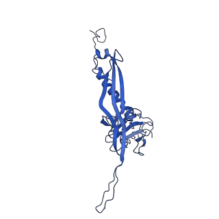 10443_6tba_JE_v1-2
Virion of native gene transfer agent (GTA) particle