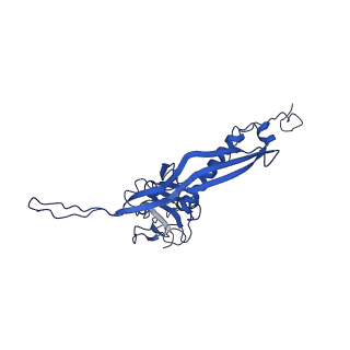 10443_6tba_JJ_v1-2
Virion of native gene transfer agent (GTA) particle