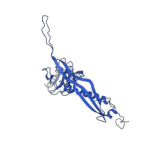10443_6tba_JO_v1-2
Virion of native gene transfer agent (GTA) particle