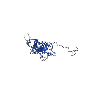 10443_6tba_KJ_v1-2
Virion of native gene transfer agent (GTA) particle