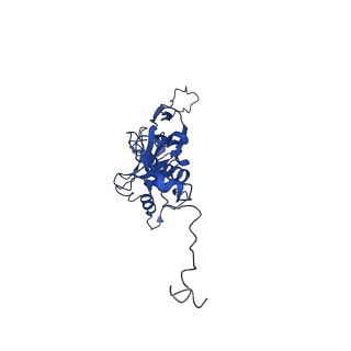 10443_6tba_KO_v1-2
Virion of native gene transfer agent (GTA) particle
