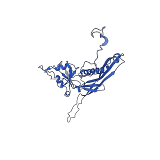 10443_6tba_L4_v1-2
Virion of native gene transfer agent (GTA) particle