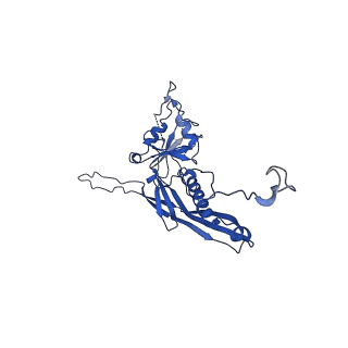 10443_6tba_L9_v1-2
Virion of native gene transfer agent (GTA) particle