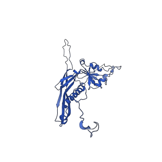 10443_6tba_LE_v1-2
Virion of native gene transfer agent (GTA) particle