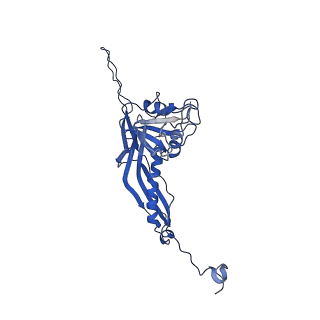 10443_6tba_M9_v1-2
Virion of native gene transfer agent (GTA) particle