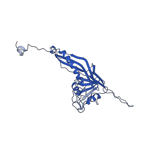 10443_6tba_MJ_v1-2
Virion of native gene transfer agent (GTA) particle