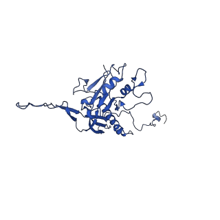 10443_6tba_N4_v1-2
Virion of native gene transfer agent (GTA) particle