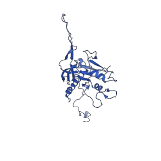 10443_6tba_N9_v1-2
Virion of native gene transfer agent (GTA) particle