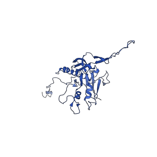 10443_6tba_NE_v1-2
Virion of native gene transfer agent (GTA) particle