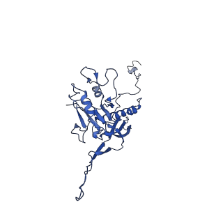 10443_6tba_NO_v1-2
Virion of native gene transfer agent (GTA) particle