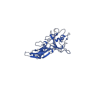 10443_6tba_O4_v1-2
Virion of native gene transfer agent (GTA) particle