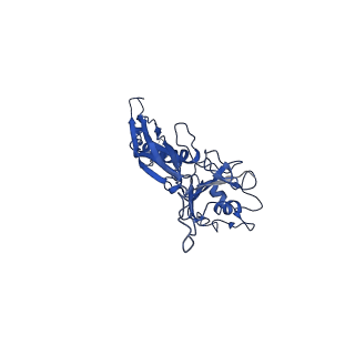 10443_6tba_O9_v1-2
Virion of native gene transfer agent (GTA) particle