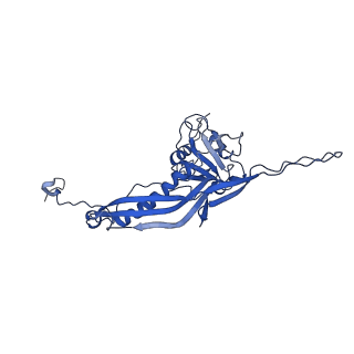 10443_6tba_P4_v1-2
Virion of native gene transfer agent (GTA) particle