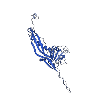 10443_6tba_P9_v1-2
Virion of native gene transfer agent (GTA) particle